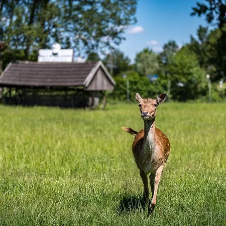 מלון Hueerlaender *